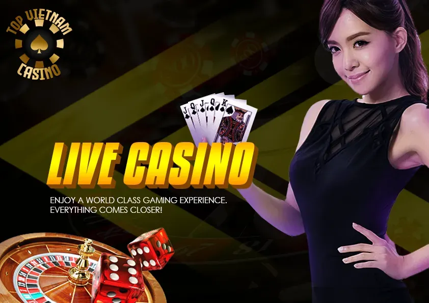 Khám phá bí mật hấp dẫn trong game heo đánh sói cùng chiến thuật chơi hiệu quả