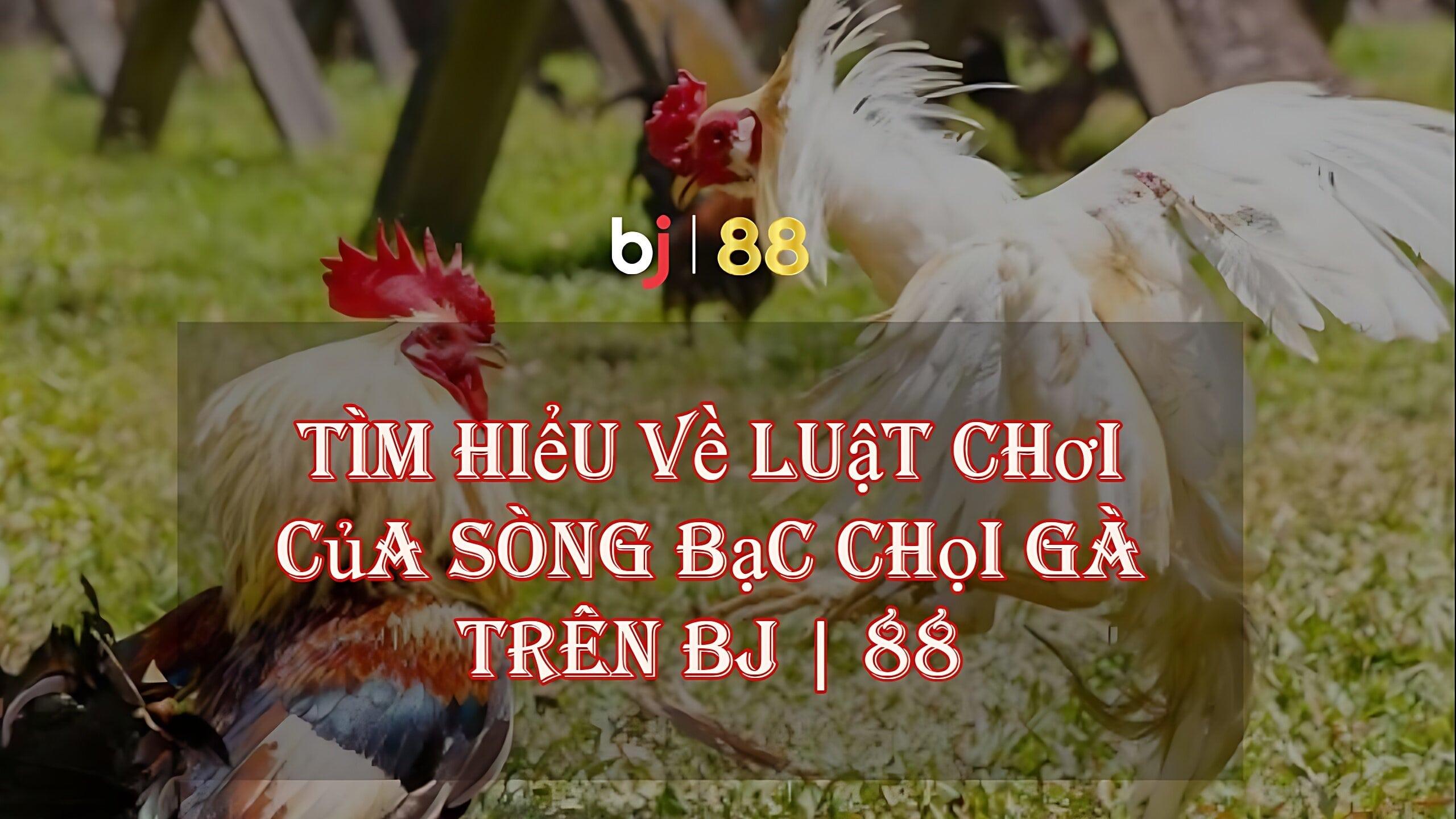 Keo bd ngay mai cập nhật kèo bd ngay mai mới nhất và chính xác